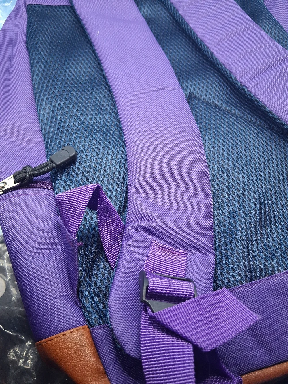 Purple Backpack with Brown Trim and Skate Graphic